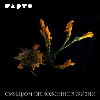 БАРТО/BRT