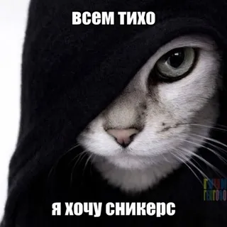 SvitShop