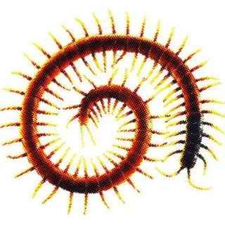CARBONEUM#7