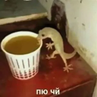Чайная 🍵