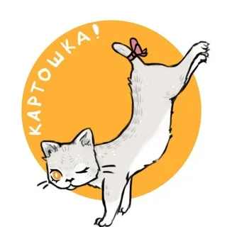 ИНФА кошка Картошка