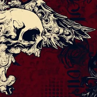『 𝔗𝔫𝔣𝔬 𝔨𝔦𝛾𝔬𝔪𝔦 』