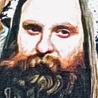 Шамин против трансформеров
