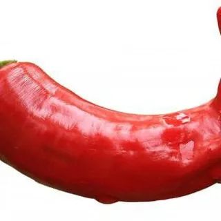ITPepper
