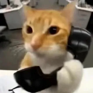 Koshka-Luana | Укладка париков | изготовление костюмов
