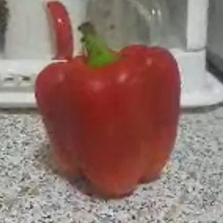 ⭔︩ׄ₊⁺🔆ⲄⲞⲢЯⳠⲀЯ ⲔⲞⲦⲖⲈⲦⲀ!〽️୭⁺₊ ๋࣭ ࣪˖ 