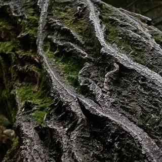Стр̸а̷нн̴ая стр̵у̸ктур̵а̴