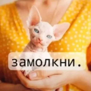 Сахарная дозаᡣ𐭩⋆