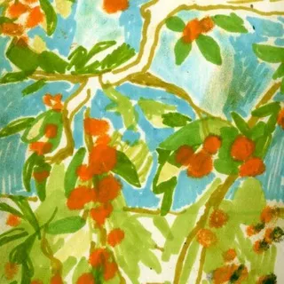 Мандарины абхазские🍊