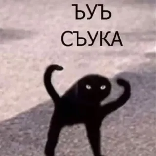 Передача «сдохни или умри»