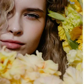 polli_model