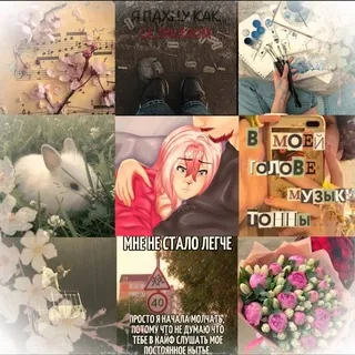 ~°Ҕγχӷαλτερμꤎ 𑀝αӄγρƅɩ🌺