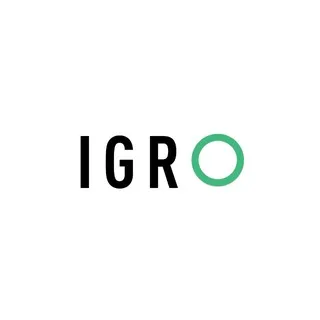 IGRO. Отвечаем за слова