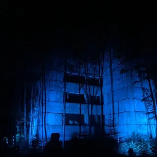 forbidden.rave.diary