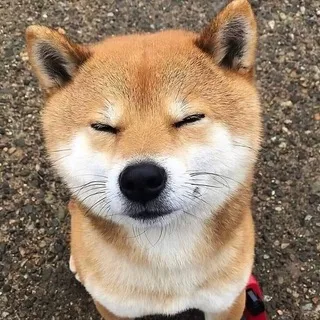 猎奇吃瓜搞笑