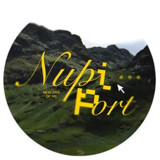 переезд | нуп1 порт