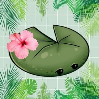 Кувшинка. Дипломированный специалист