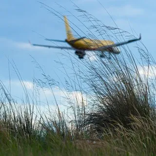 📸UUD Spotting🛩️