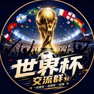 ⚽ 世界杯不眠夜