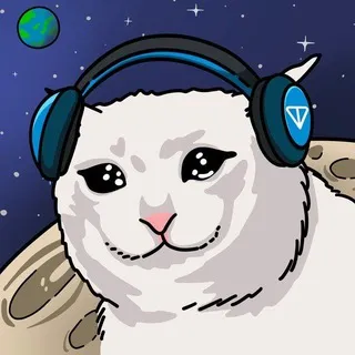 SAD MEOW_CTO