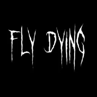 FLY DYING